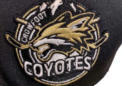 coyotes